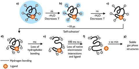 protein61small molecule interactions in native mass