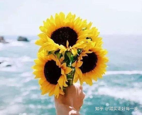 羡慕别人，是种错觉 - 知乎