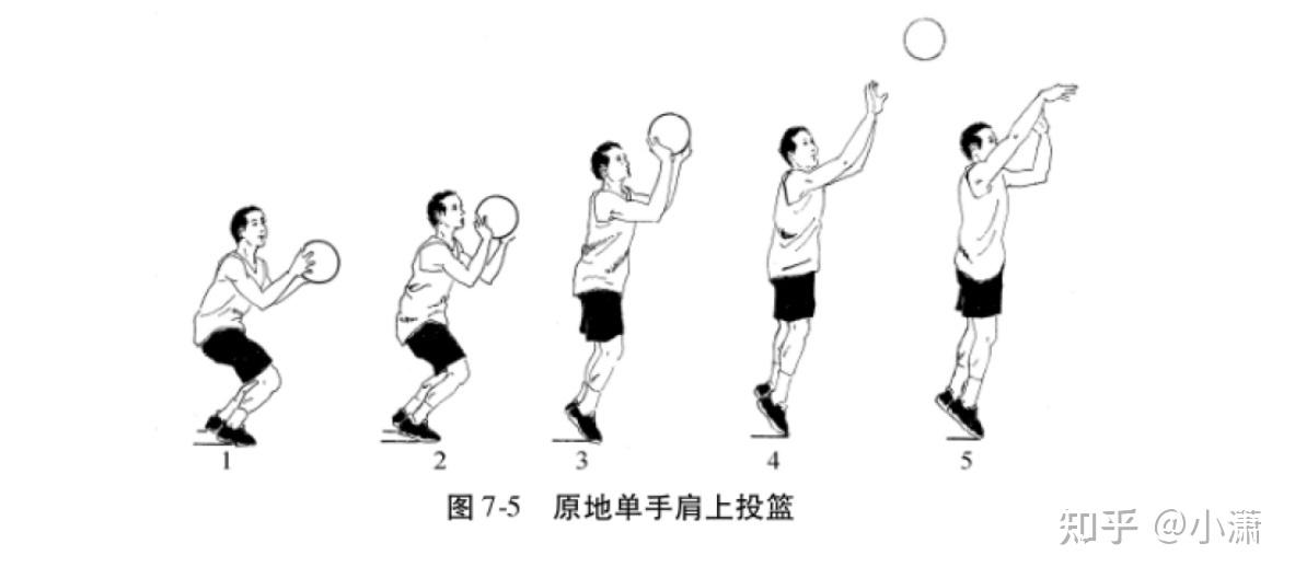 (3)行进间单手肩上投篮.以右手投篮为例,右脚向前跨一大步的同时接球.