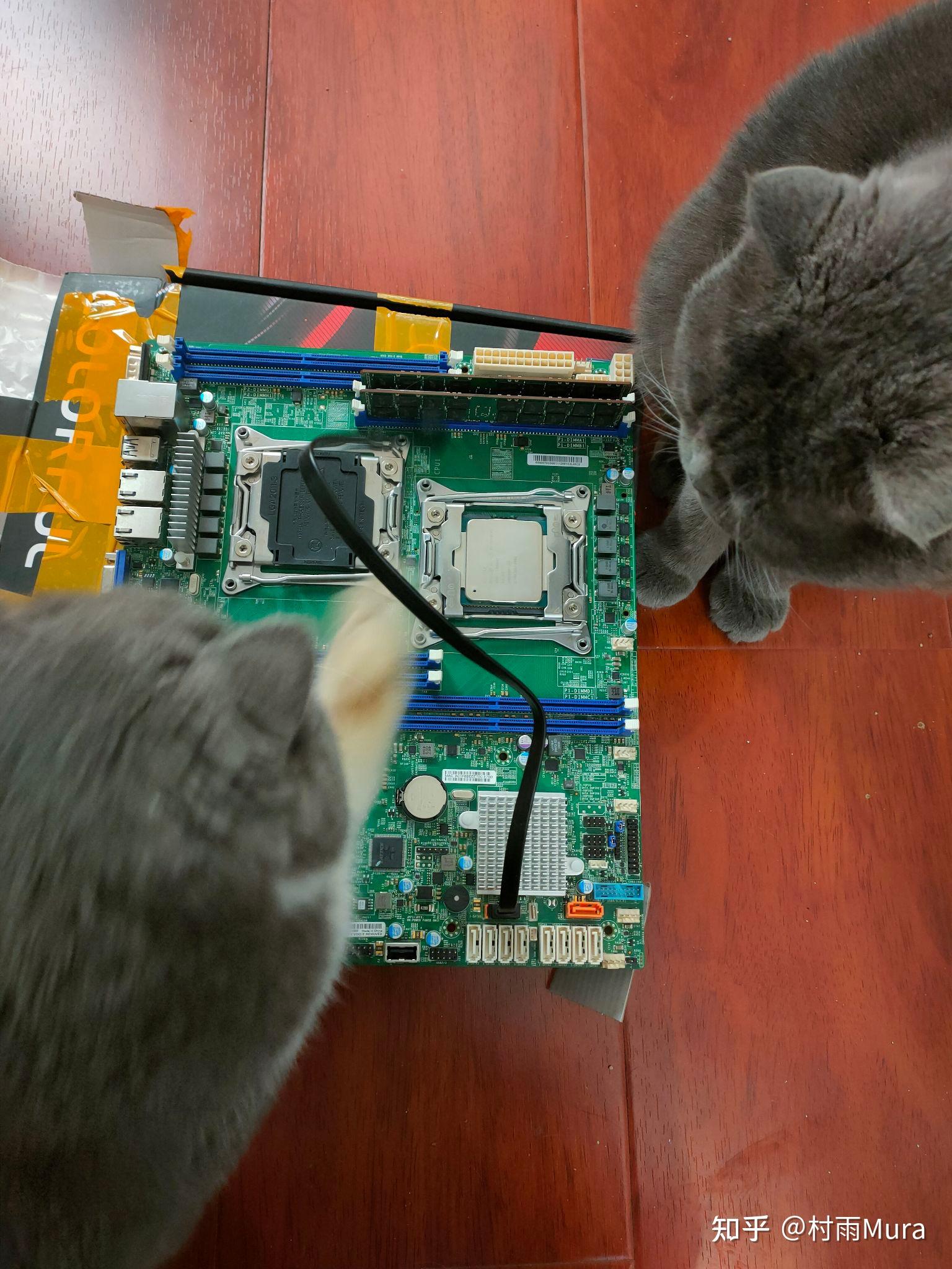 【NAS】从零开始自组NAS插图3 【NAS】从零开始自组NAS插图3