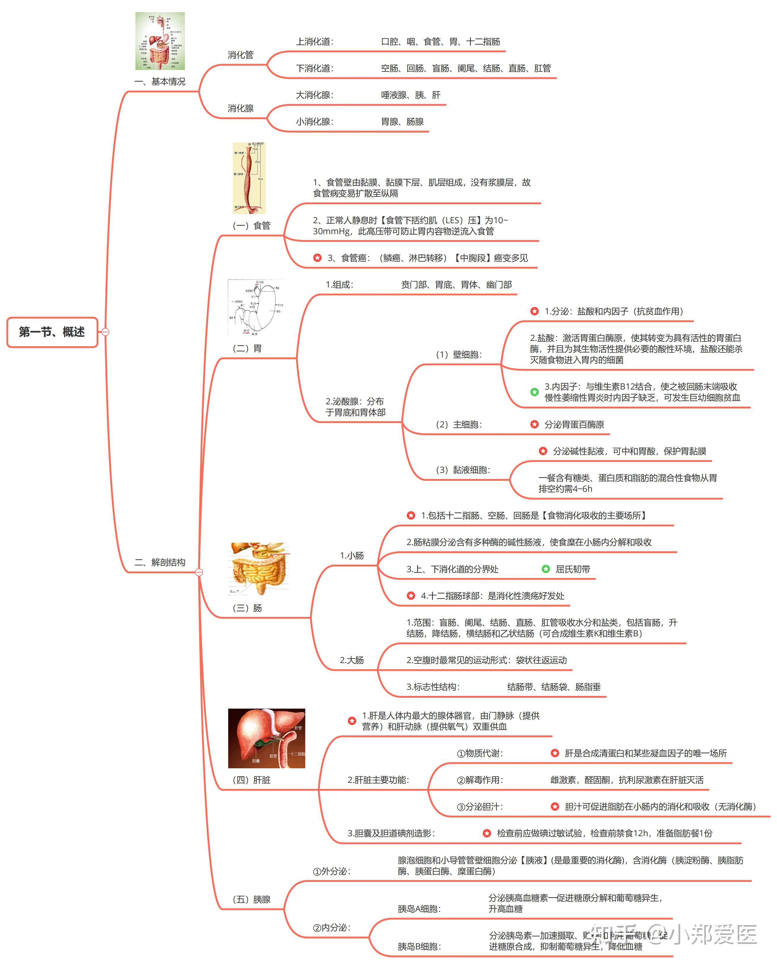 排便护理技术思维导图图片