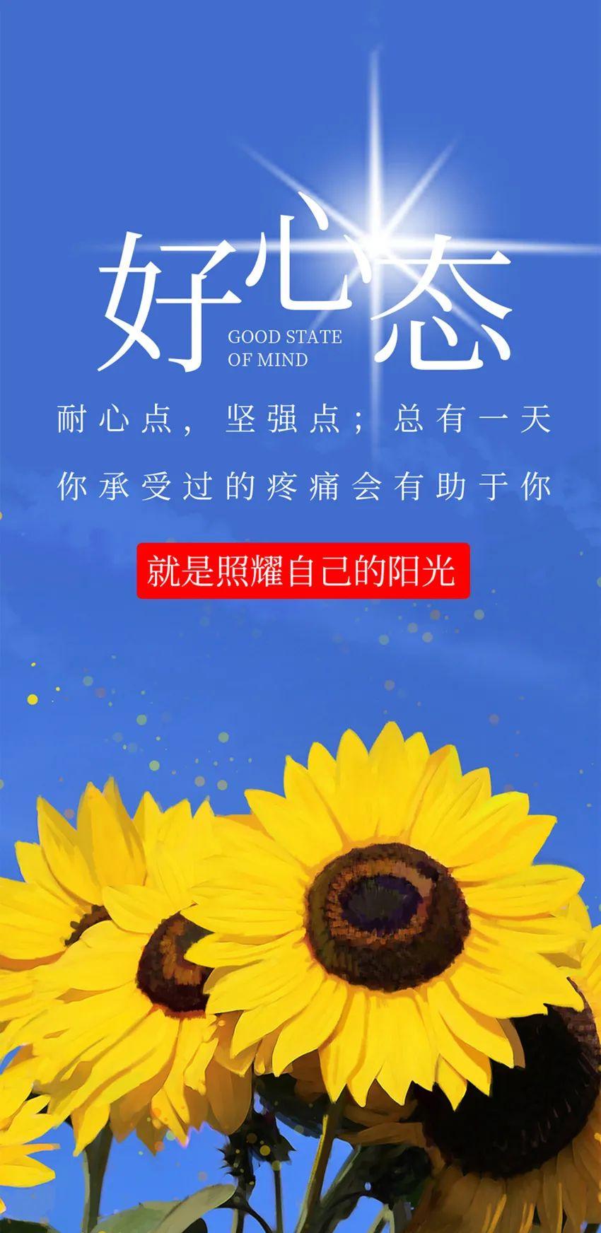 6月4日早安正能量經典勵志經典語錄——每一份收穫,都是你堅持不懈的