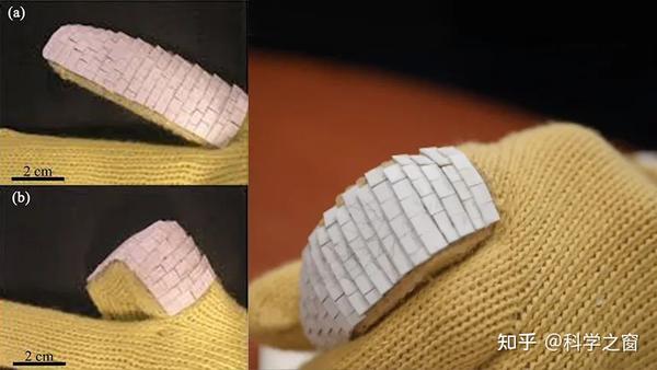 Protective wear inspired by fish scales