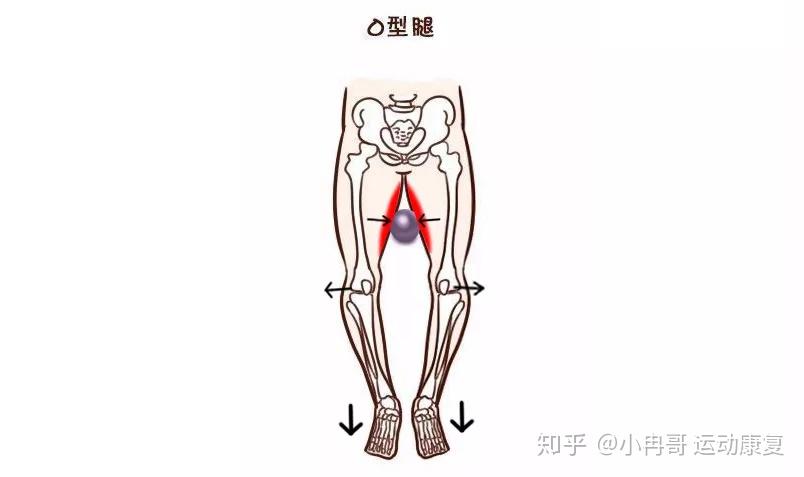 v2-16721fa368ff1429db38f0c3bffe78c1_r.jpg