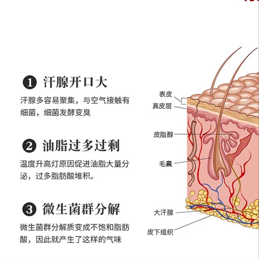 别再乱用偏方了！学会这几招，在家轻松摆脱狐臭困扰！ - 知乎