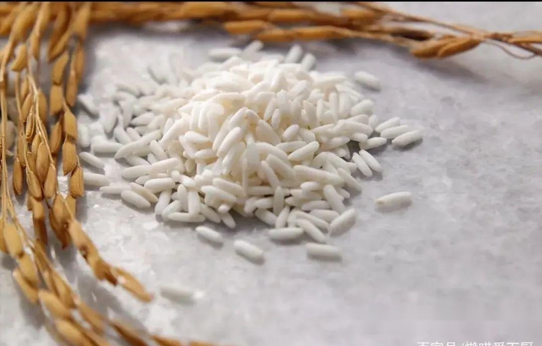 端午节包粽子,用圆粒糯米还是长粒糯米?用对糯米,粽子糯而不烂 - 知乎