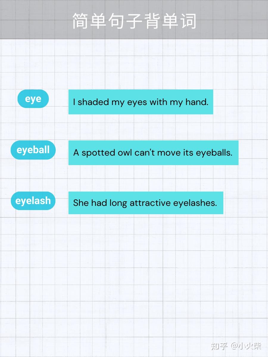 5张图片记单词 eye(眼睛) - 知乎