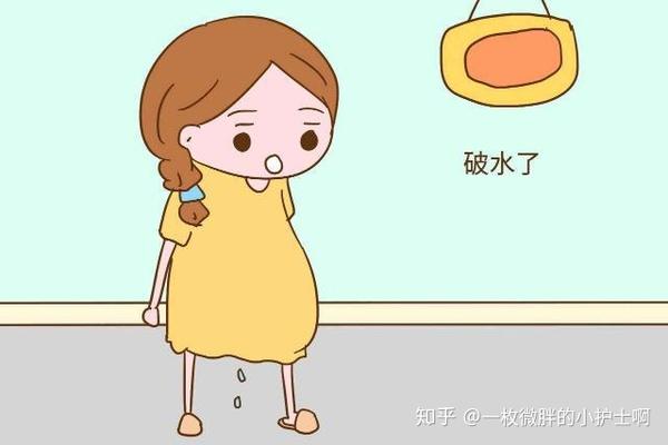 见红后 孕妈们该这样做 知乎