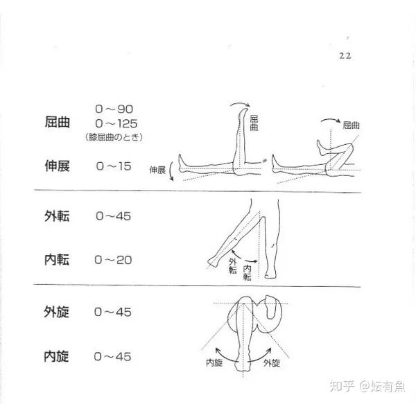 人体髋关节正常值活动范围