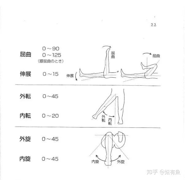 髋关节活动度测量图解图片