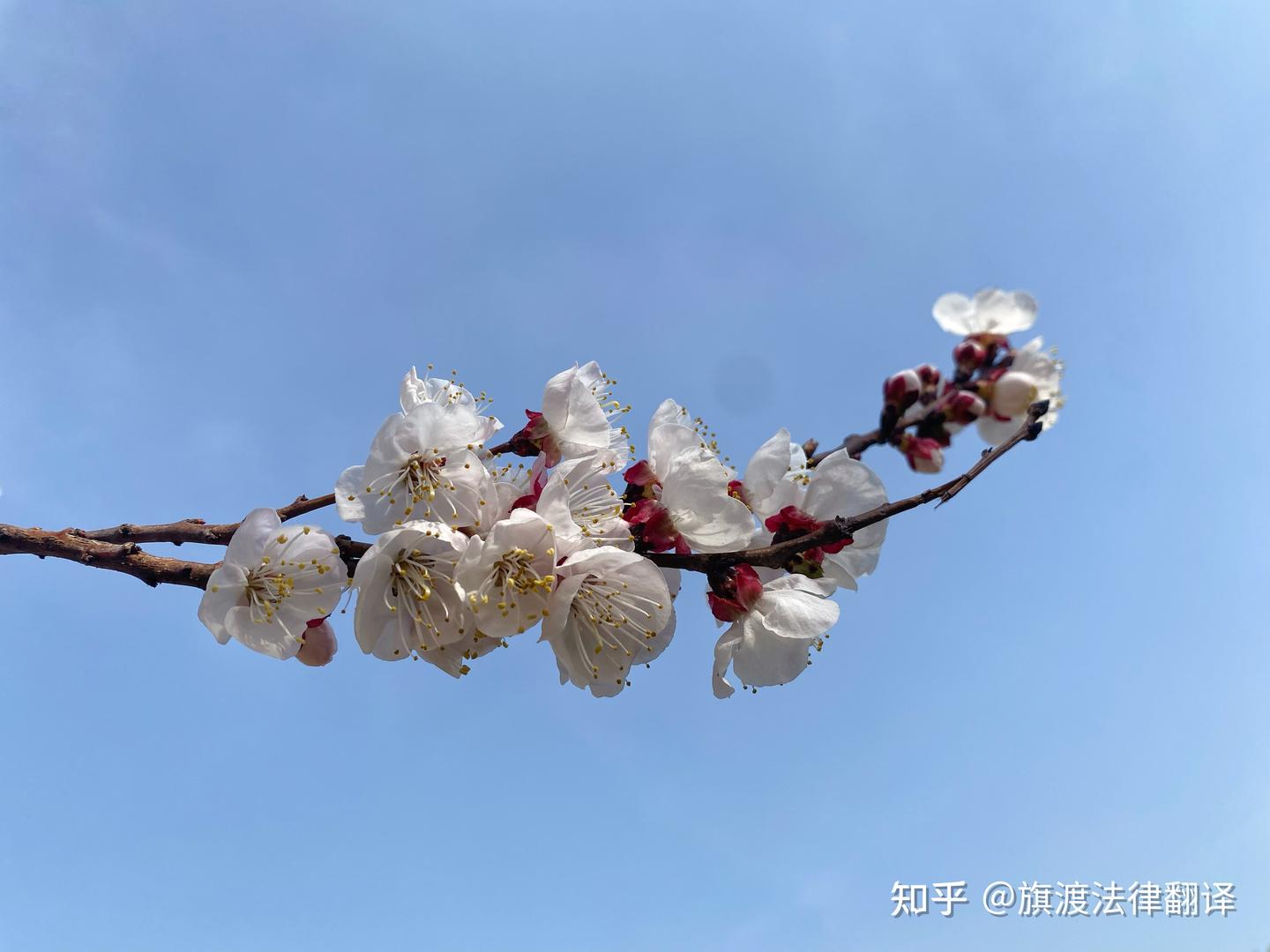 财务术语之Off-balance-sheet Financing - 知乎