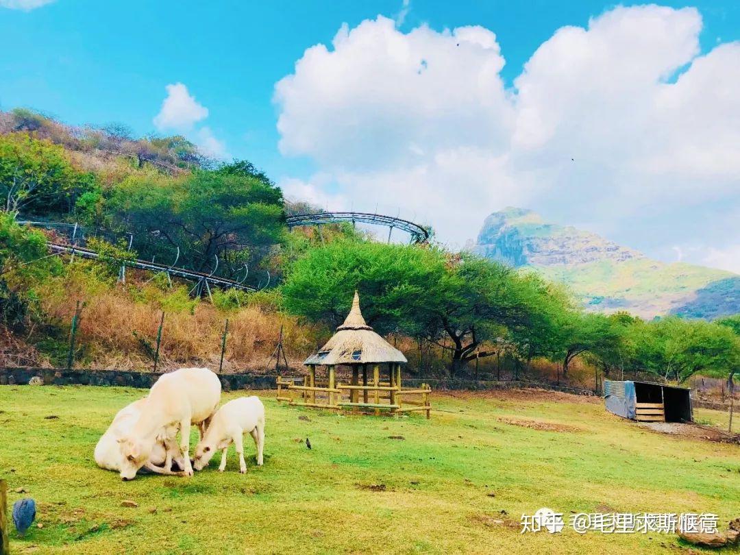 毛里求斯卡塞拉公园,教你在海岛拍出狂野非洲风情