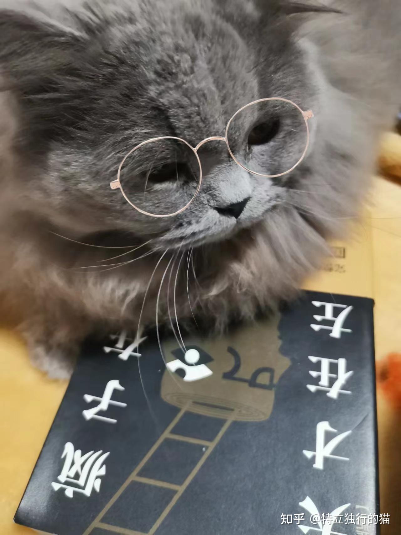 隐秘、猎奇：最真实的离奇，现实中的光怪陆离 | 《天才在左疯子在右》 - 知乎