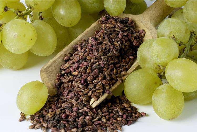 青春之泉抗老化最佳帮手葡萄籽油