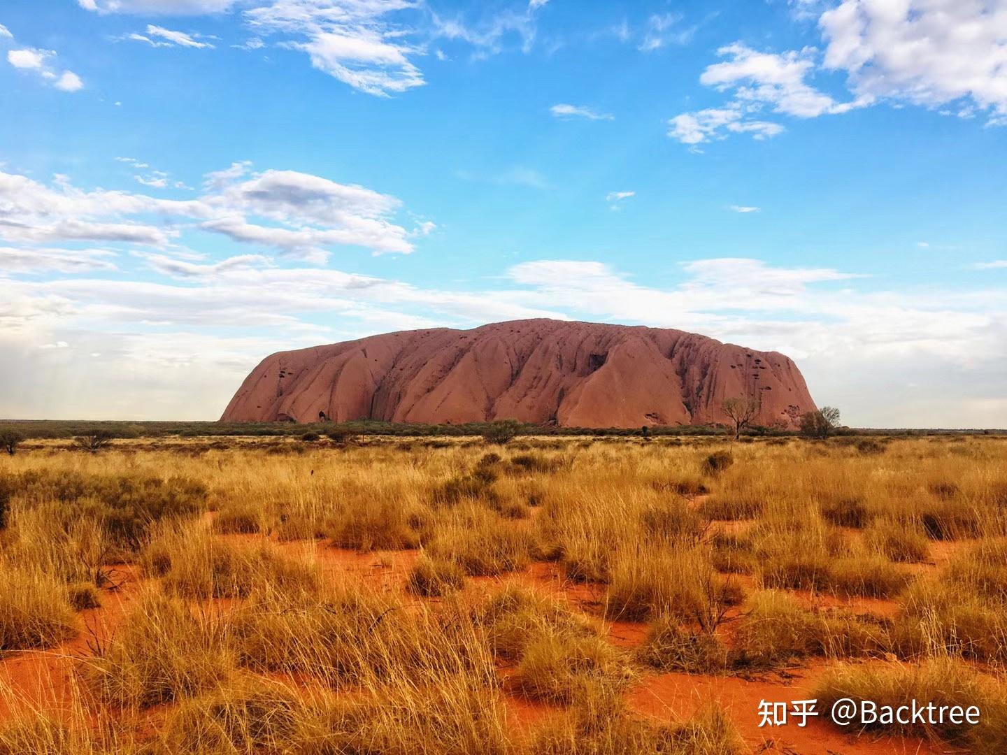 澳大利亚20元纸币上印的头像就是皇家飞行护士服务(rfds)的创始人