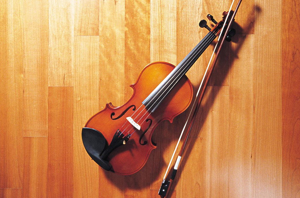 弦乐组又又又又分为四种乐器小提琴(violin)中提琴(viola)唉?