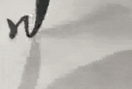 书法技巧:高清gif动图 运笔讲解教程一笔一画教你写书法