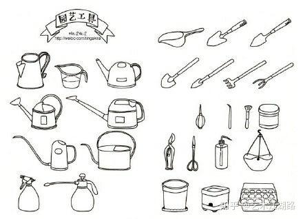 干货分享|植物简笔画 - 知乎