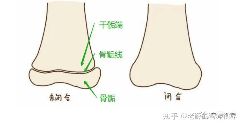儿童长高的方法(不分男女),应该吃什么营养,只补钙可不对哦!