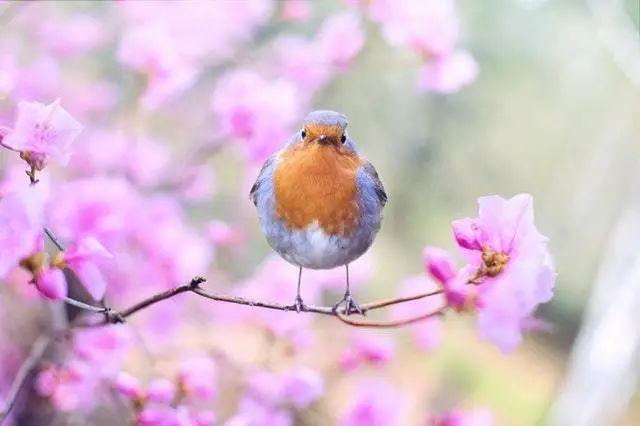 除了春天,没想到spring还有这个意思! - 知乎