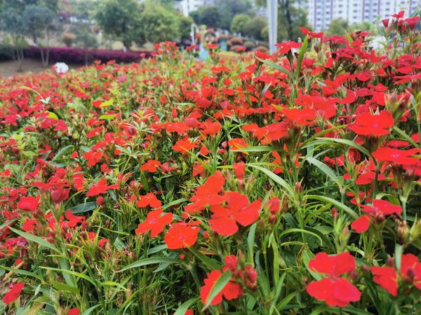 股民朋友下午好 现在是22年3月日星期日下午3点 知乎