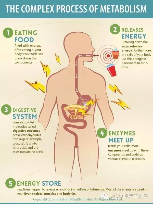 人体新陈代谢功能分析有机酸检测