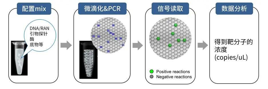 CICC科普丨外源基因绝对定量检测——ddPCR技术 - 知乎