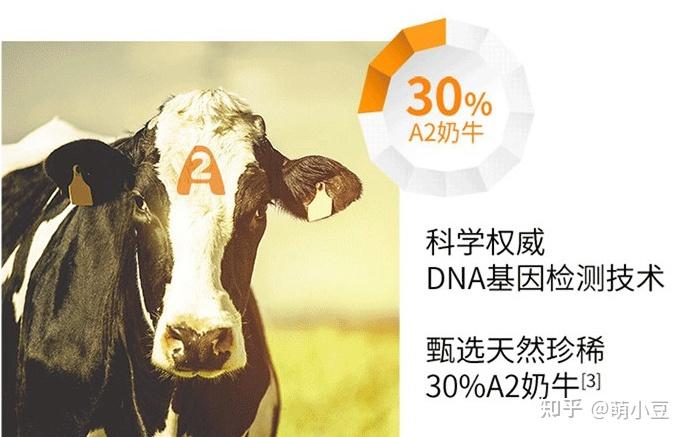 雀巢能恩nan a2