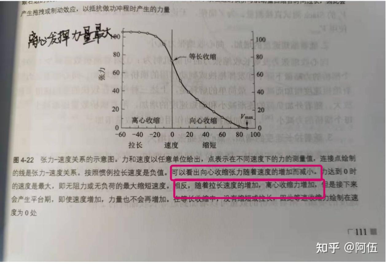 速度-张力关系 - 知乎