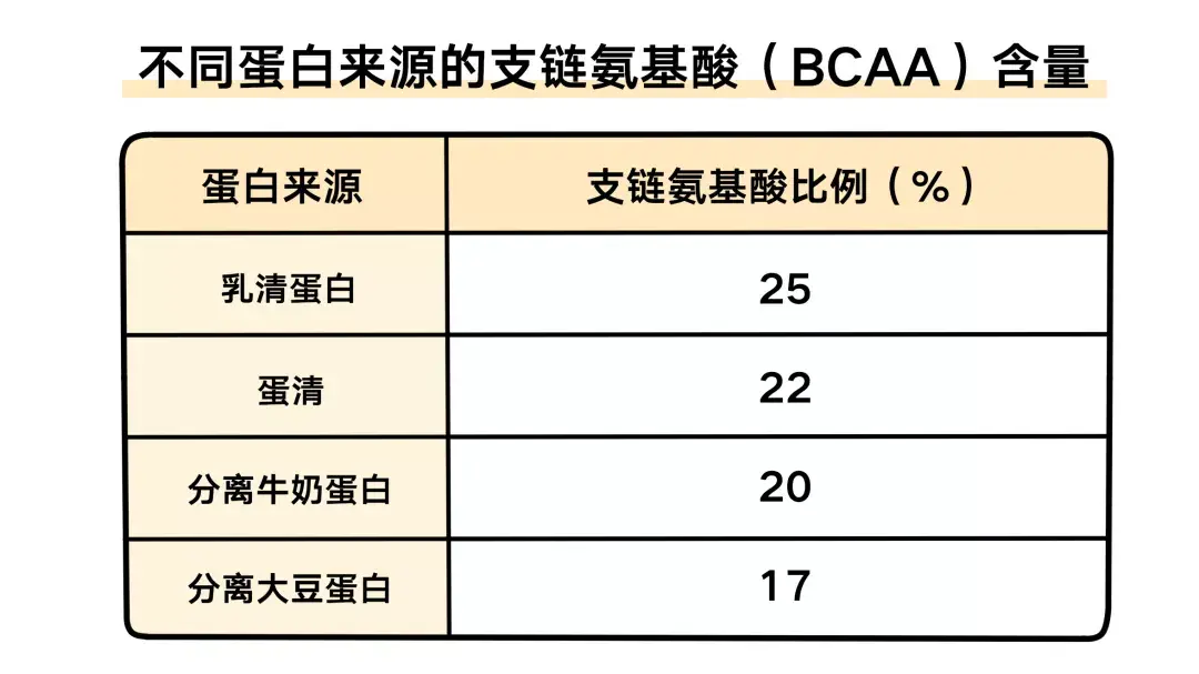 03 市面上哪种蛋白质
