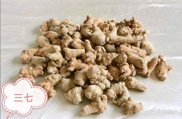 收藏:s中医脉药对应歌