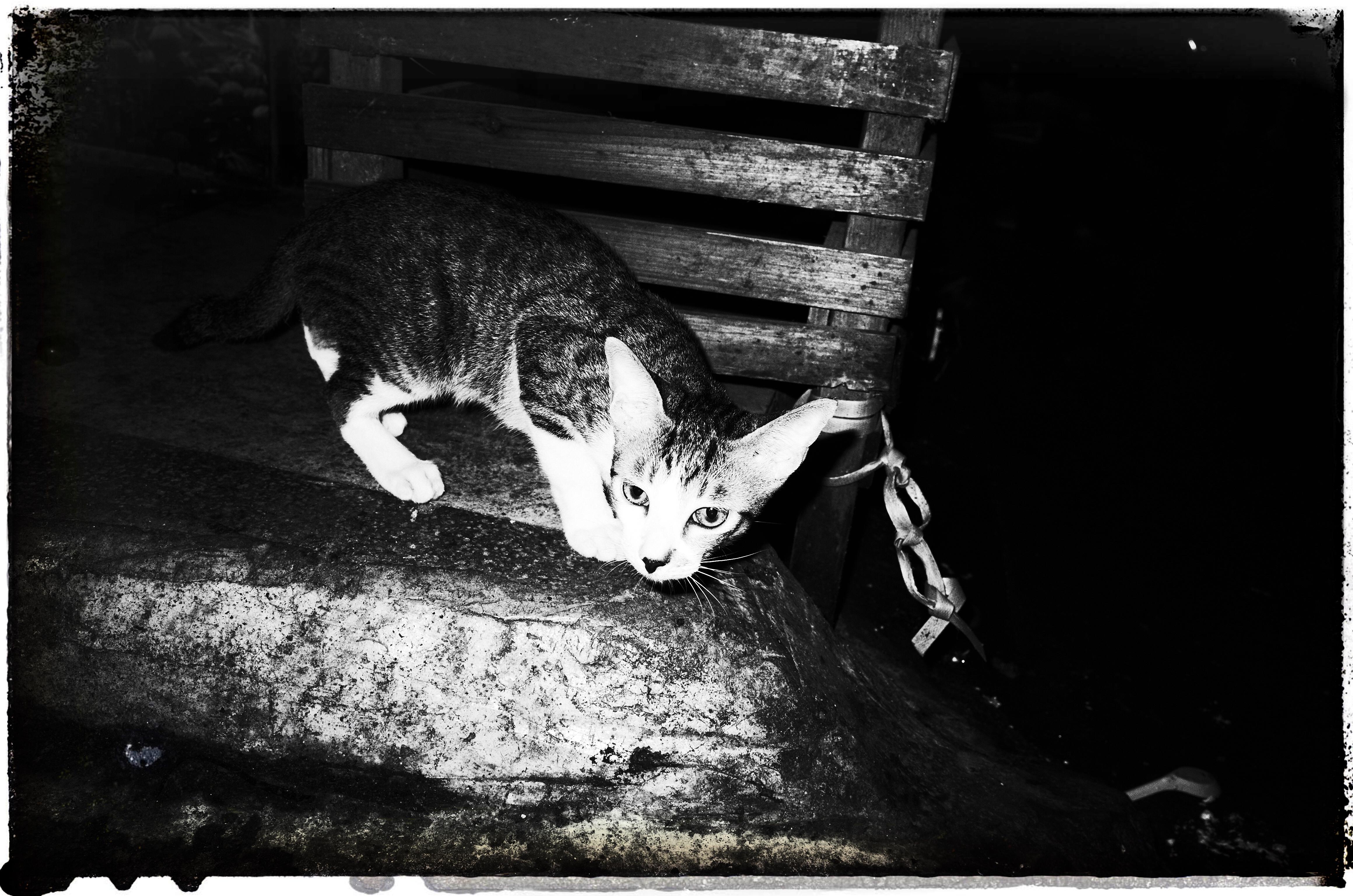 哪款微单或者卡片机能提升这些画面的质量?附