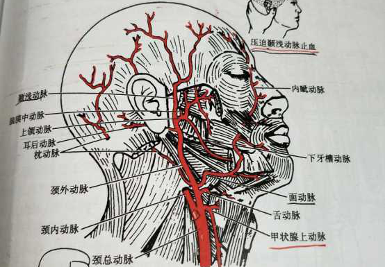 下巴后缩做颏成型手术有用吗?风险如何?能达到什么效果?国内有哪些做颏成型比较好的医院医生? - 知乎
