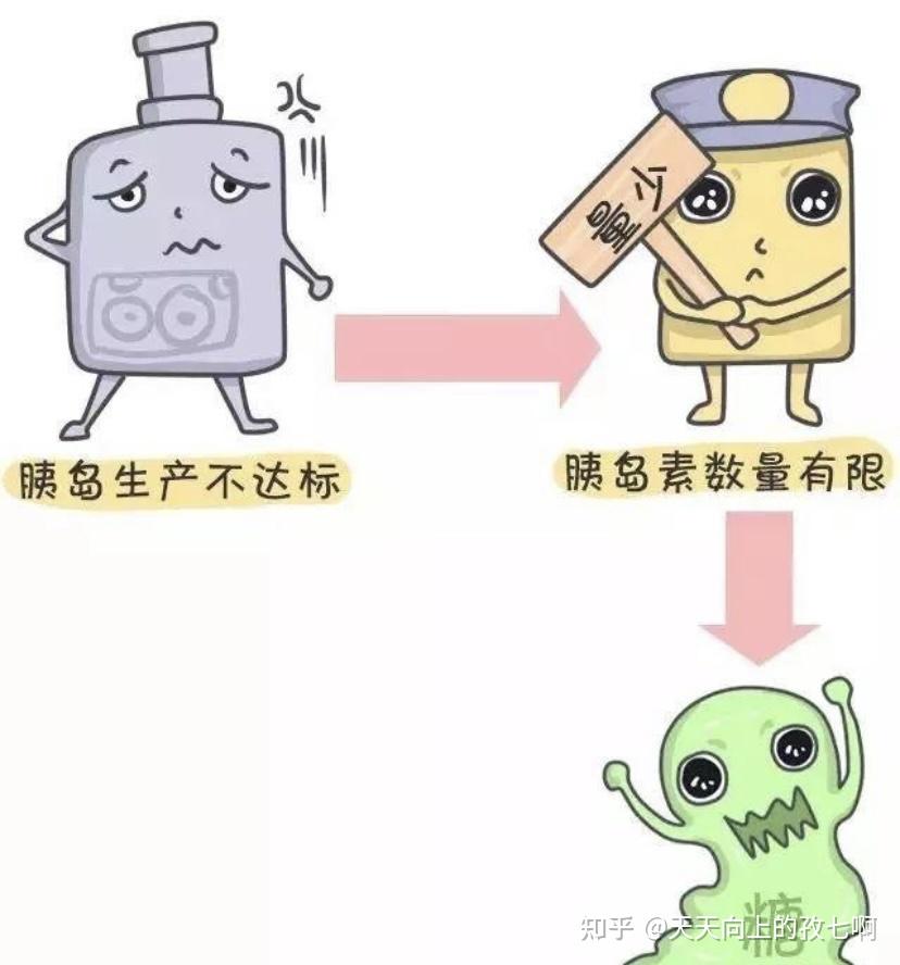 2型糖尿病的發病機制1