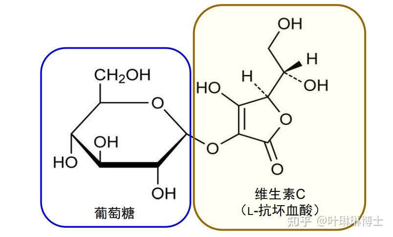 抗坏血酸葡糖苷与vc相比也更加稳定,而且在不同酸碱性溶液里都有活性.