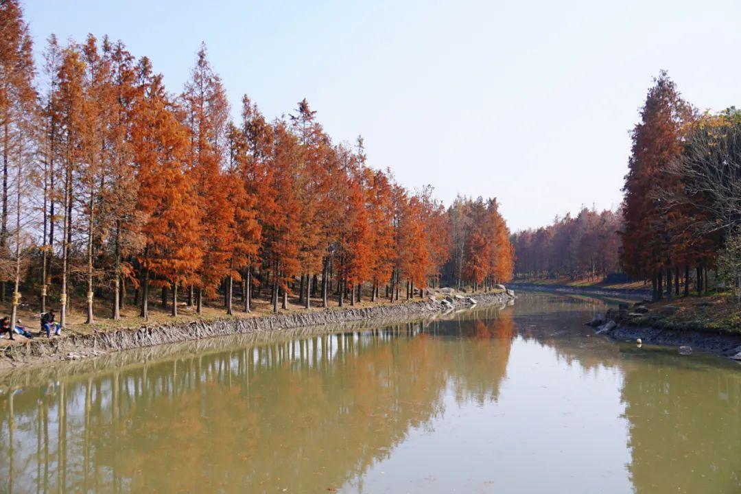 浦江第一湾公园
