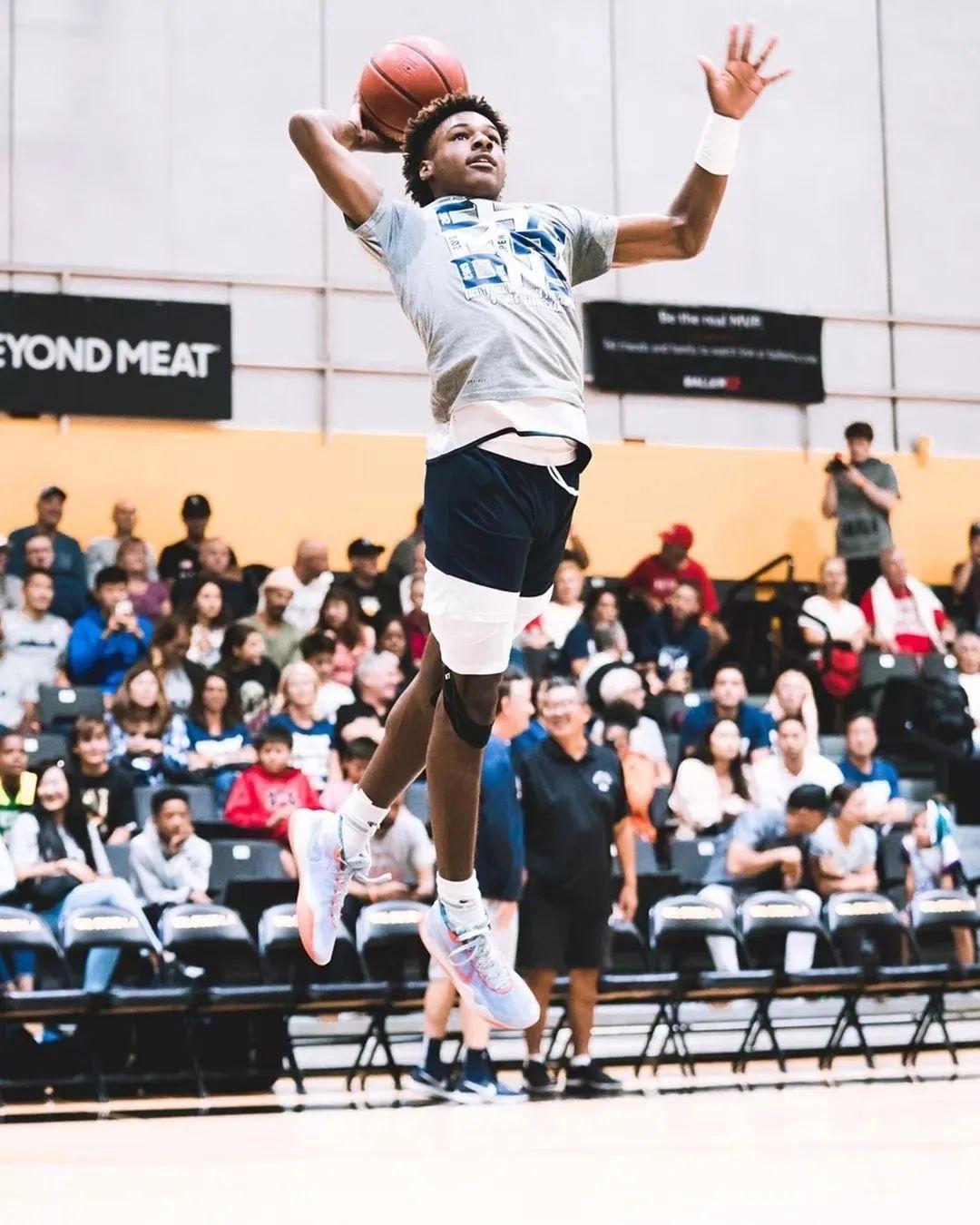 篮球壁纸小小皇帝布朗尼高清壁纸