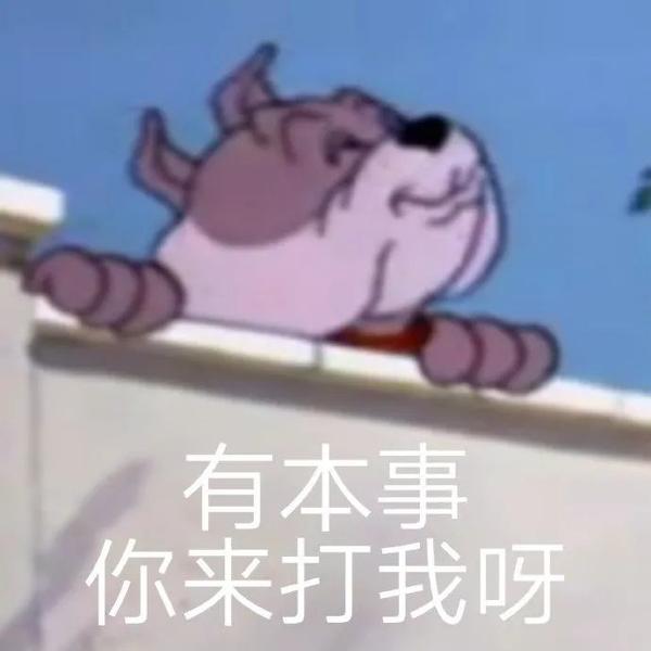 搞笑的动图gif表情包 - 知乎