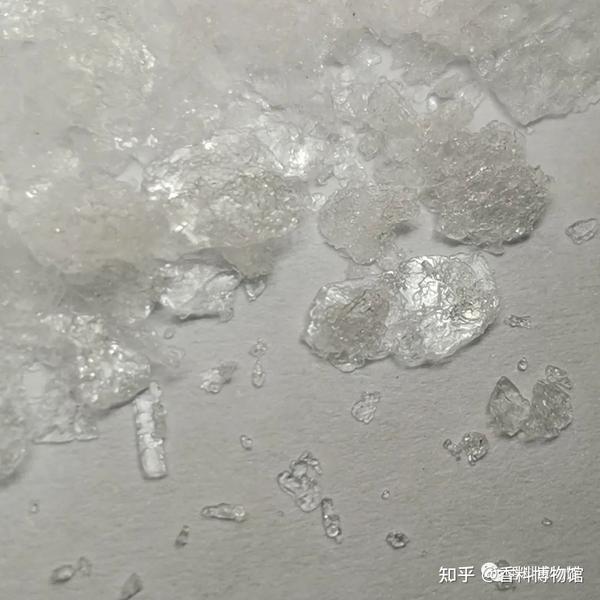 达玛脂与笃耨香,关于龙脑香科的简单介绍。 - 知乎