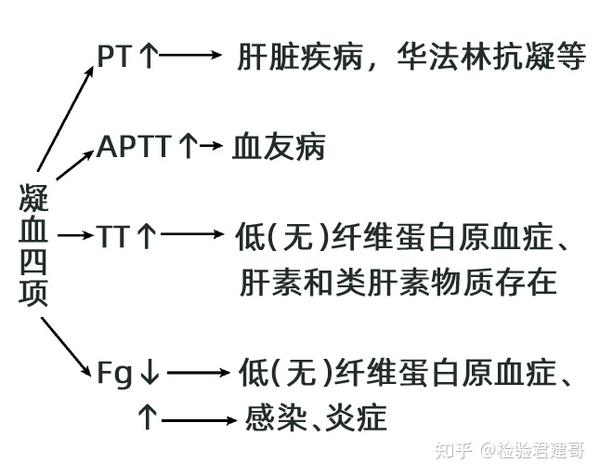 4 张图搞定凝血功能解读,这个记忆方法绝了! - 知乎