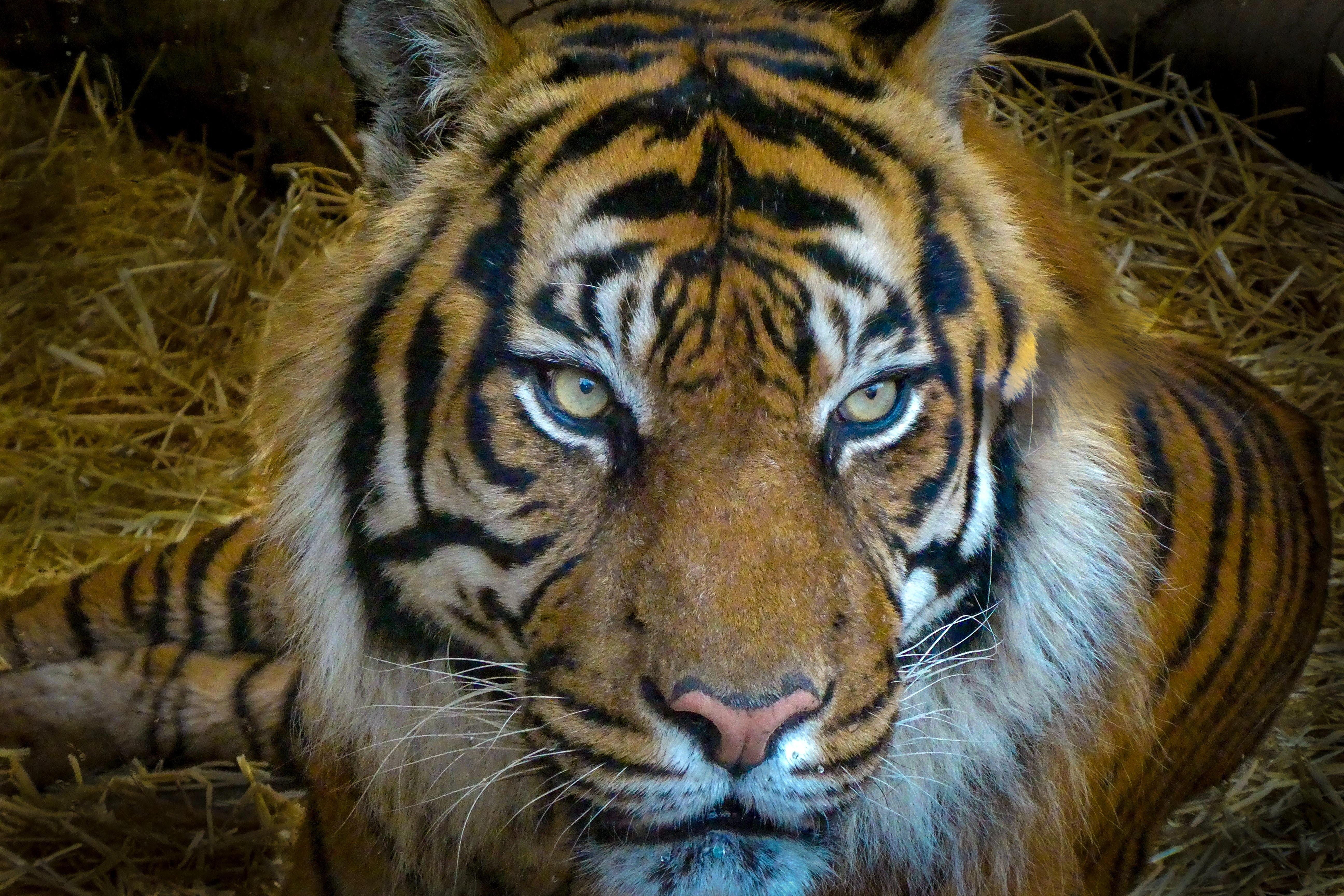 嗨陌生人能留下一张你最喜欢的壁纸嘛