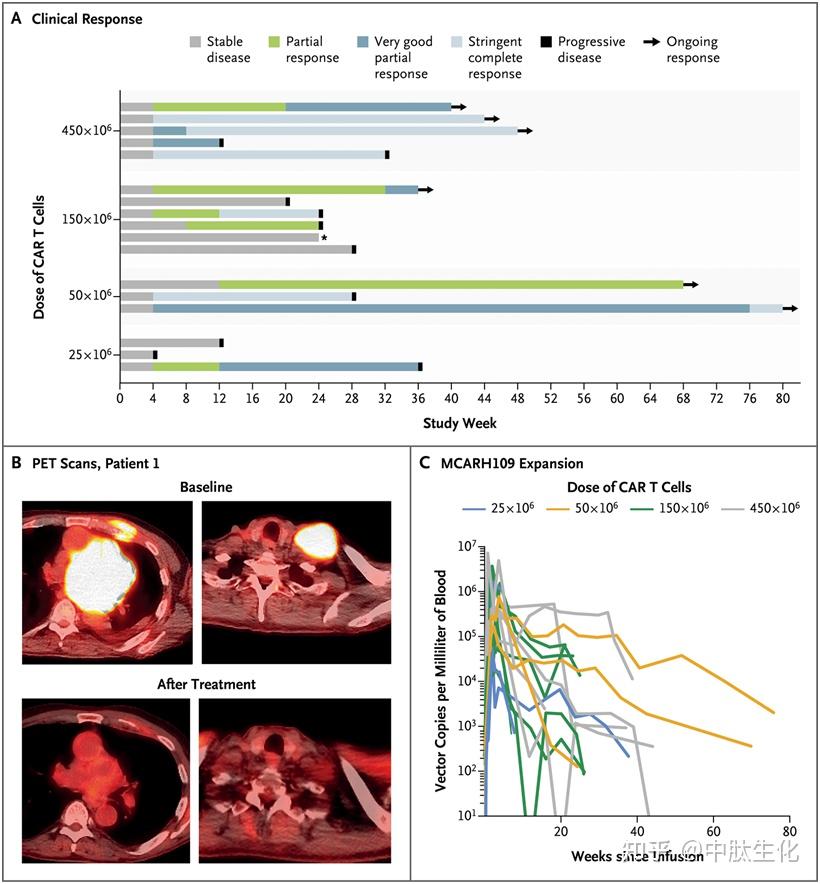nejm-gprc5d-car-t