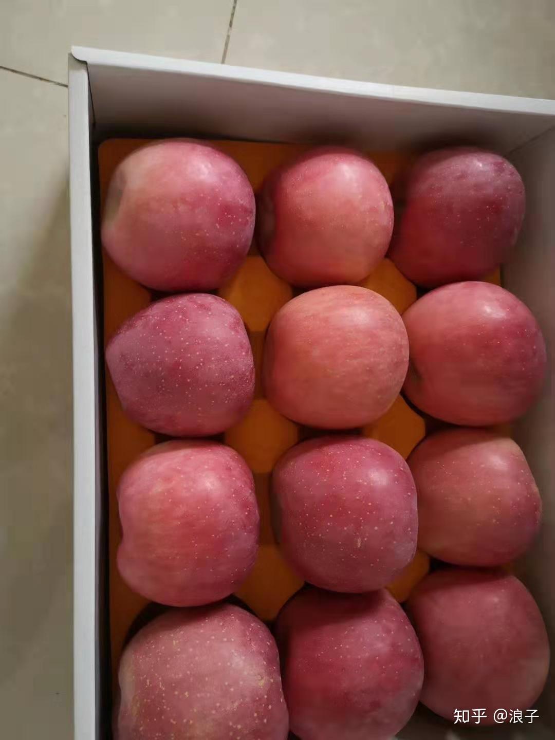 中国哪里的苹果最好吃?