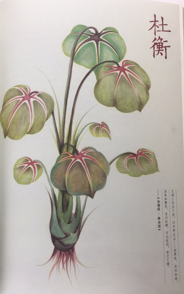 《山海经·西山经》异域奇兽【古今对照】整理——“西山一经”篇