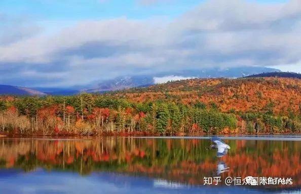这大概秋季全球最美线路吧 加拿大枫叶大道 知乎 