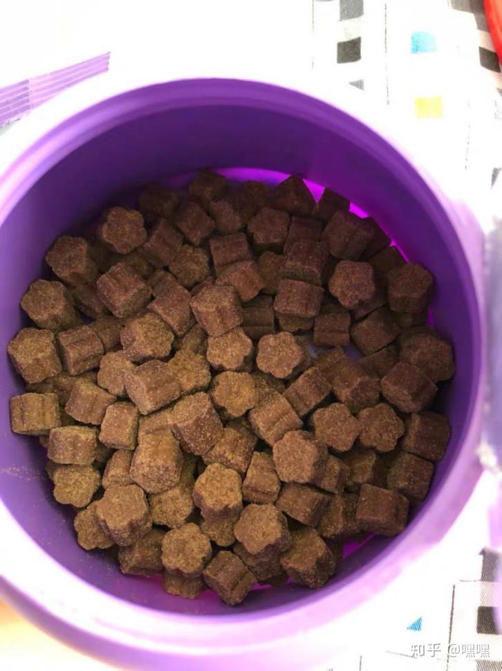 猫用卵磷脂有必要吃吗