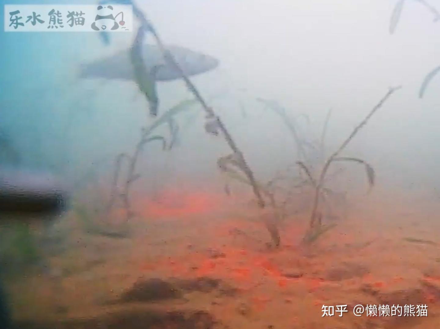 想买钓鱼水下摄像头？看这篇就够了 - 知乎