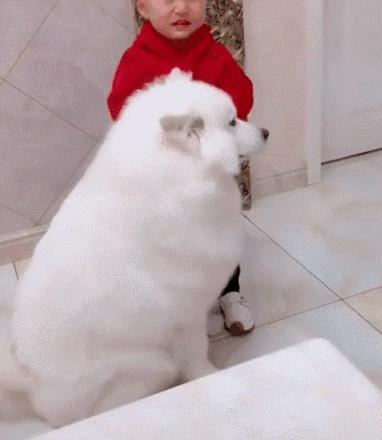 动图封面