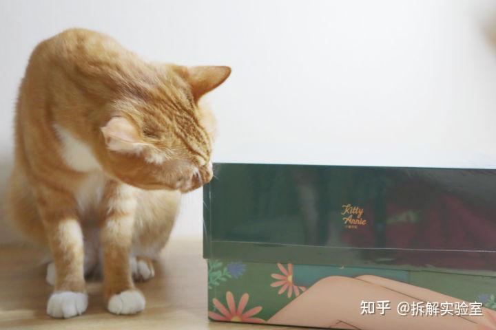 有人用过小猫安妮脱毛仪吗怎么样