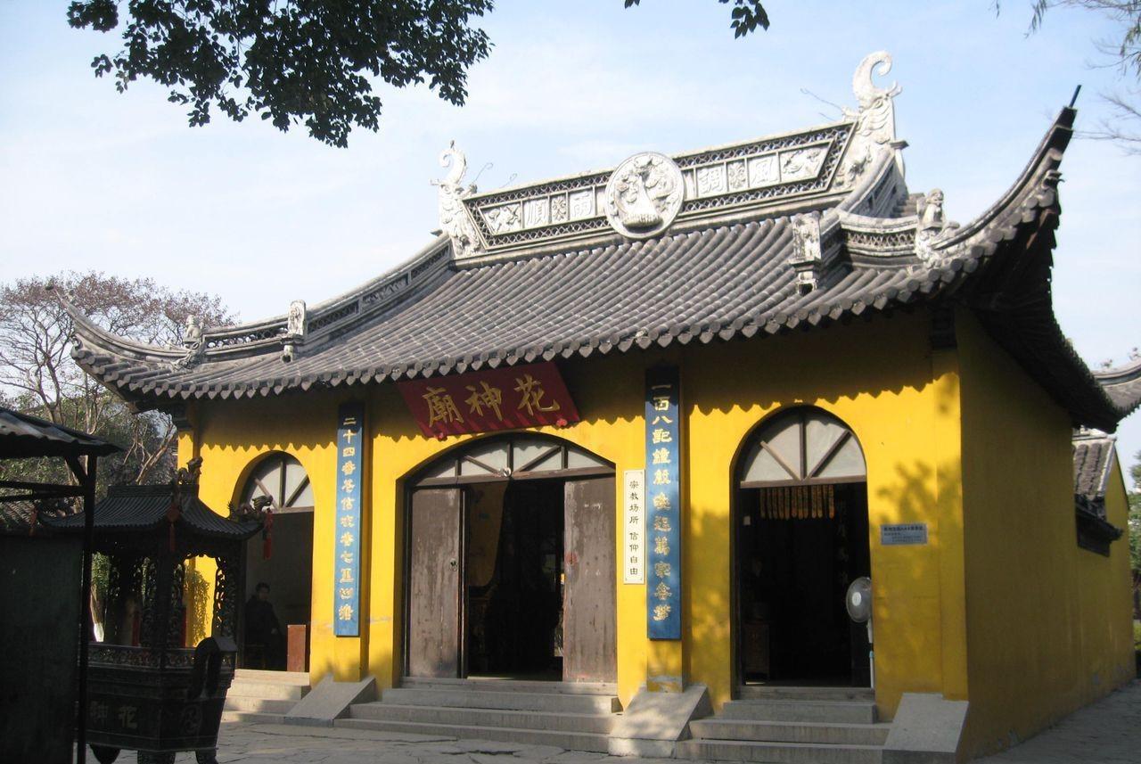 岁时节日|春分 寒暑均分,花怡情